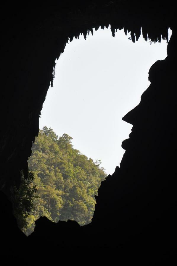 Hotel Mulu National Park Esterno foto